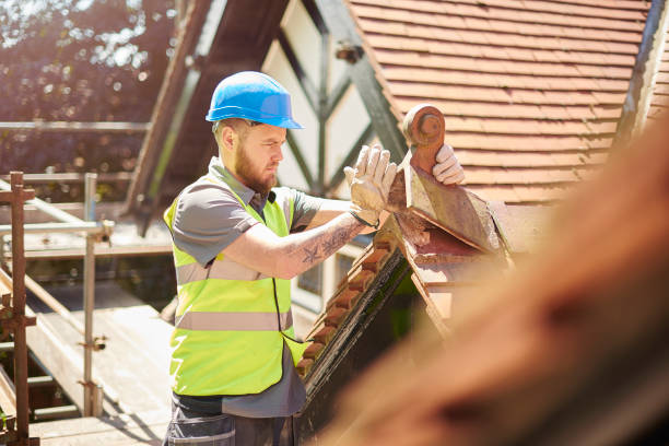 Best Roof Gutter Cleaning  in Mountainhome, PA